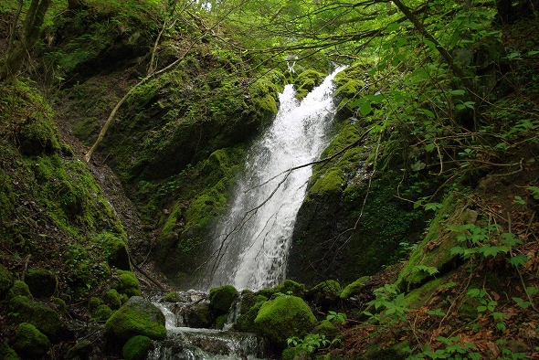 f:id:Argon:20100613213646j:image