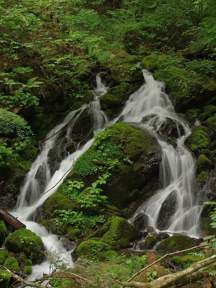 f:id:Argon:20100613213647j:image