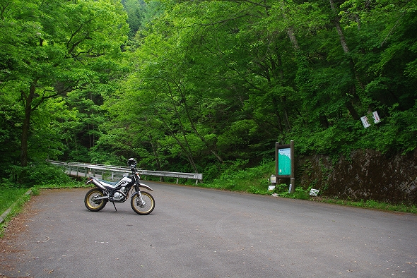 f:id:Argon:20100613213648j:image