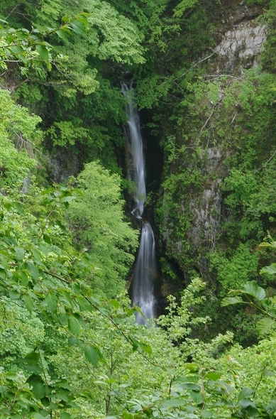 f:id:Argon:20100613213734j:image