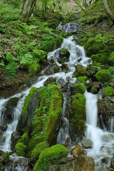 f:id:Argon:20100613213736j:image