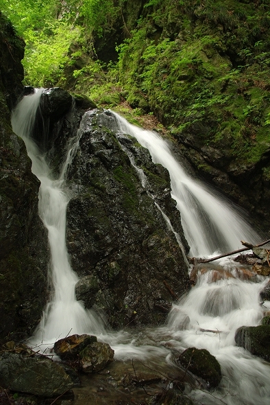 f:id:Argon:20100613213840j:image