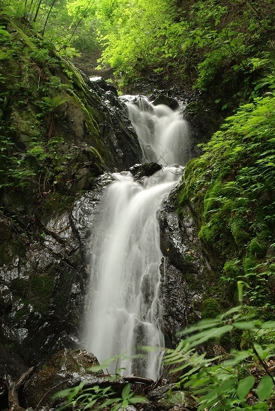f:id:Argon:20100613213842j:image