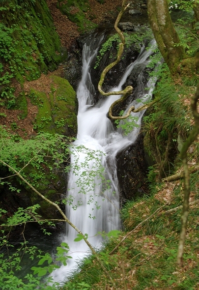 f:id:Argon:20100613214240j:image