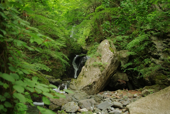 f:id:Argon:20100613233106j:image