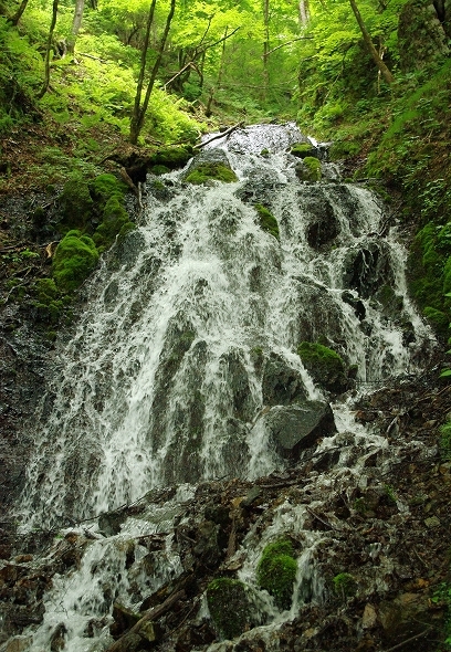 f:id:Argon:20100615000833j:image