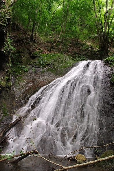f:id:Argon:20100704155608j:image