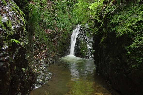 f:id:Argon:20100704155644j:image