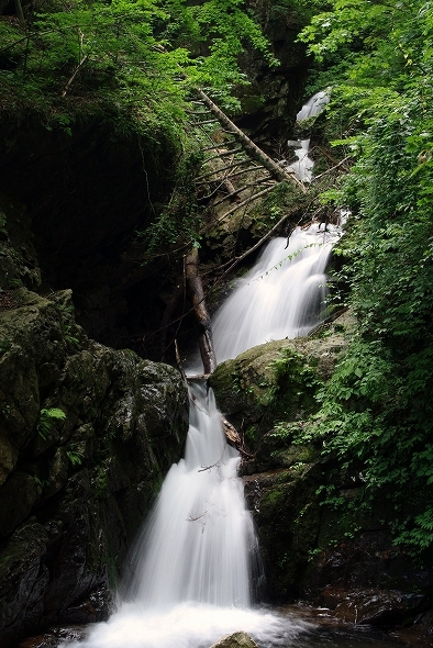 f:id:Argon:20100718181414j:image f:id:Argon:20100718181414j:image
