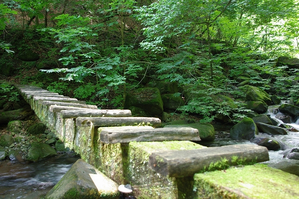 f:id:Argon:20100719213631j:image f:id:Argon:20100719213631j:image