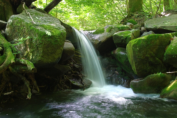 f:id:Argon:20100719213821j:image f:id:Argon:20100719213821j:image