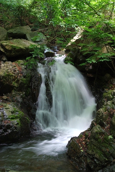 小管川の滝