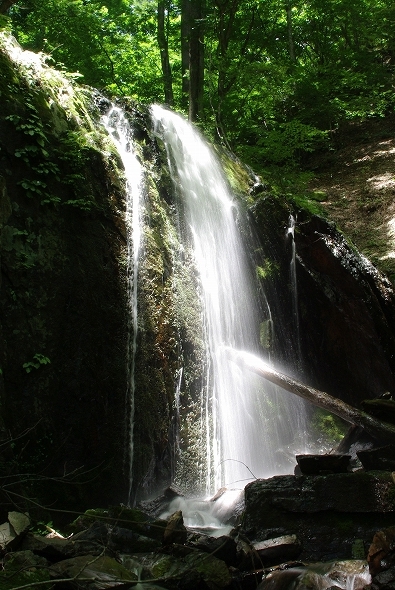 f:id:Argon:20100719214109j:image f:id:Argon:20100719214109j:image