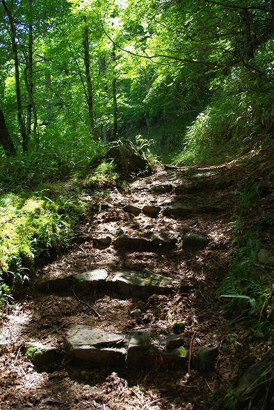 f:id:Argon:20100719220549j:image f:id:Argon:20100719220549j:image