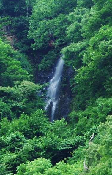 f:id:Argon:20100719221350j:image