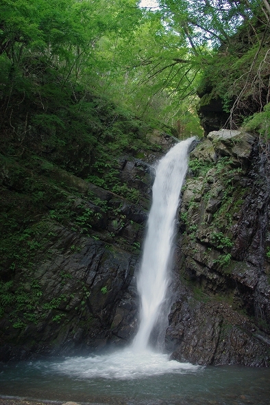 f:id:Argon:20100719221354j:image