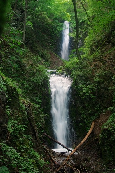 f:id:Argon:20100724191622j:image