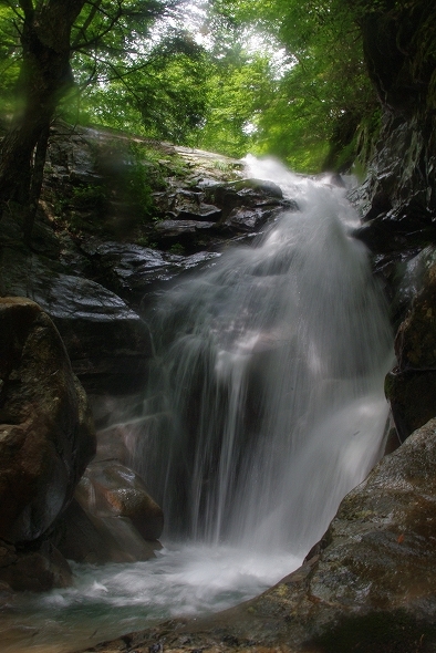 f:id:Argon:20100731214127j:image