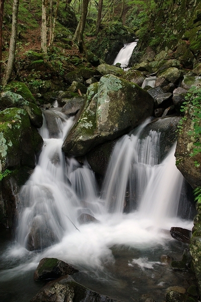 f:id:Argon:20100825185612j:image