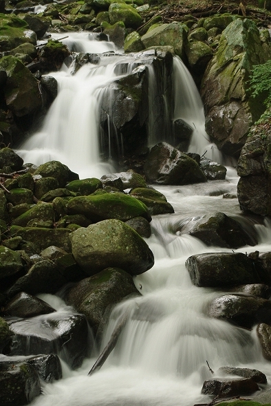 f:id:Argon:20100826191056j:image