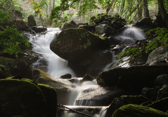 f:id:Argon:20100826191058j:image