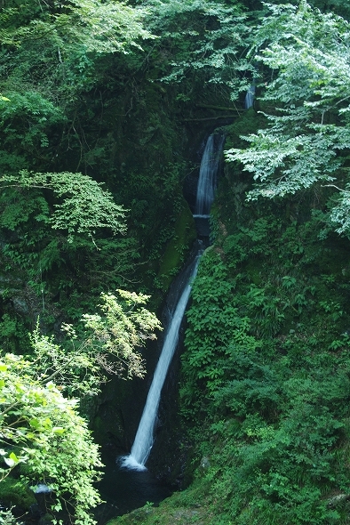 f:id:Argon:20100901193108j:image