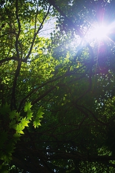 f:id:Argon:20100910200341j:image