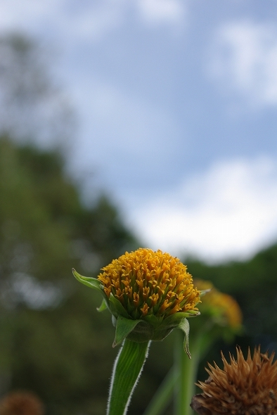 f:id:Argon:20100910201447j:image