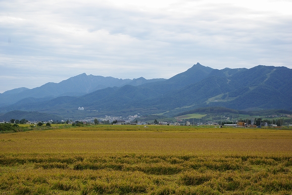 f:id:Argon:20100910201624j:image