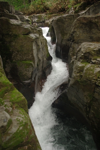 f:id:Argon:20100920191038j:image
