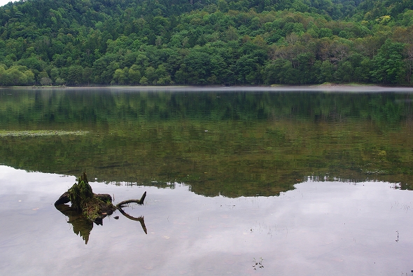 f:id:Argon:20100920195631j:image