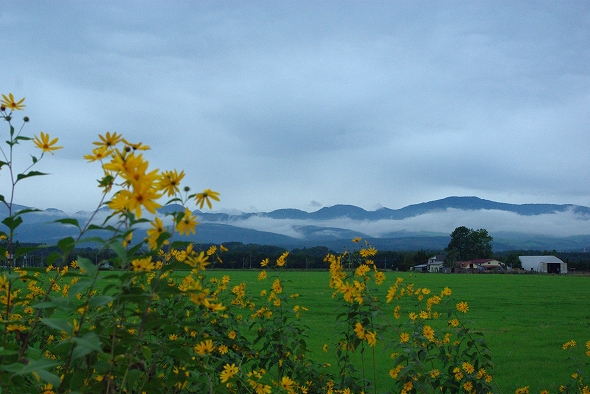 f:id:Argon:20100920195719j:image