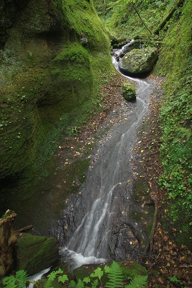 f:id:Argon:20100930005902j:image
