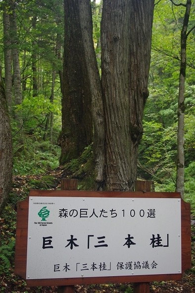 f:id:Argon:20100930005903j:image