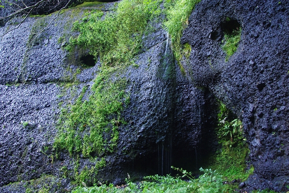f:id:Argon:20100930020419j:image