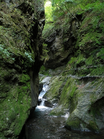 f:id:Argon:20101003205644j:image