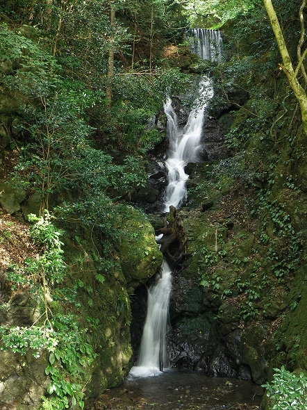 f:id:Argon:20101003205841j:image