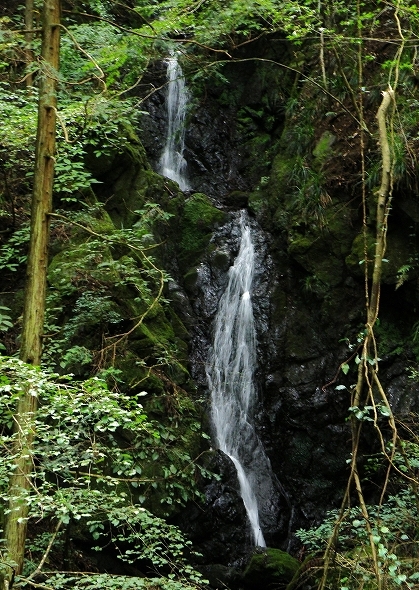 f:id:Argon:20101003205843j:image