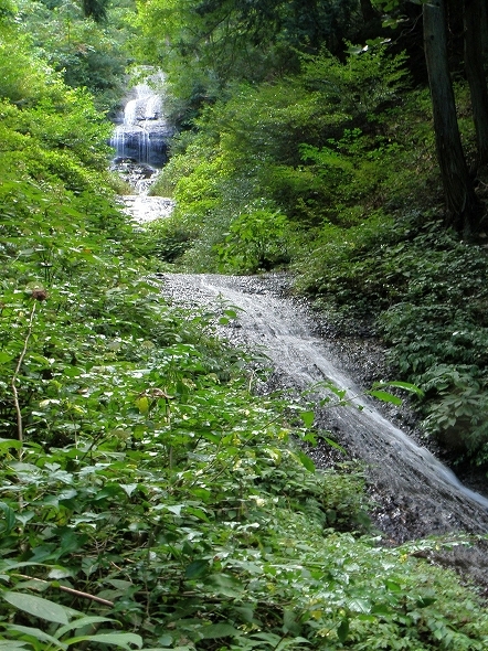 f:id:Argon:20101011163649j:image