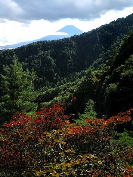 f:id:Argon:20101011163652j:image