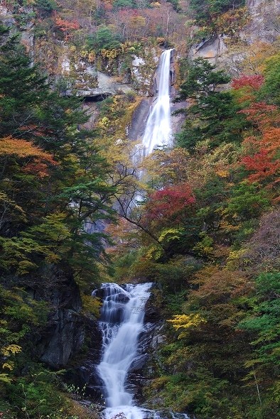 f:id:Argon:20101103193719j:image