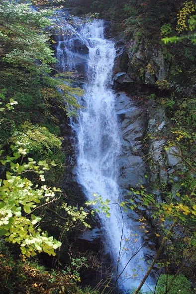 f:id:Argon:20101103193920j:image