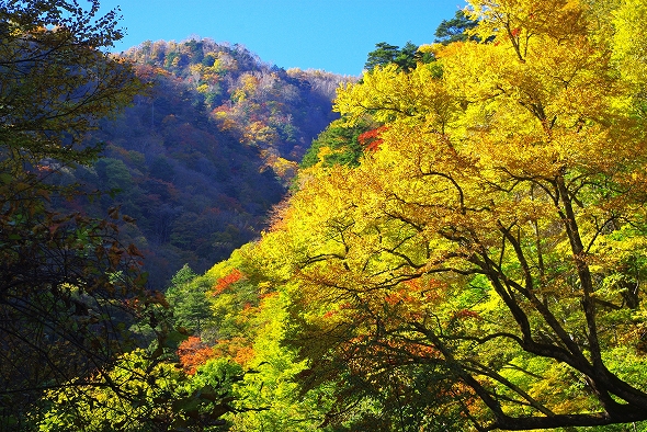 f:id:Argon:20101103193921j:image