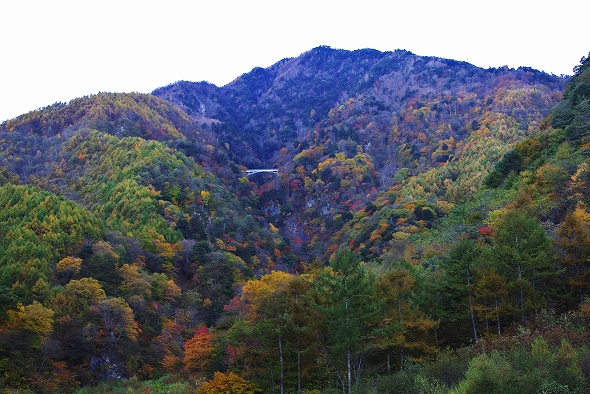 f:id:Argon:20101103200249j:image