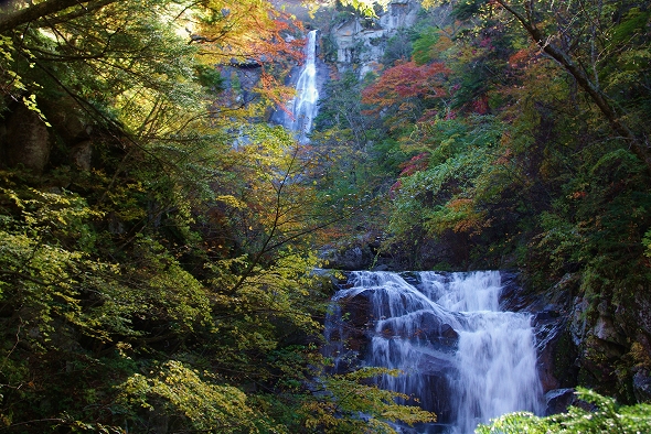 f:id:Argon:20101105223355j:image
