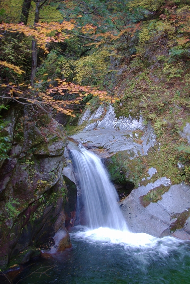 f:id:Argon:20101110181326j:image