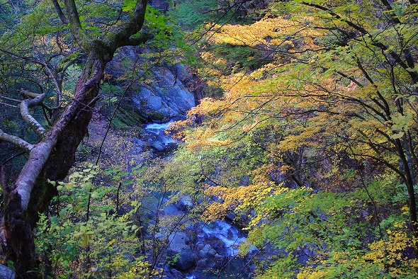 f:id:Argon:20101110181419j:image