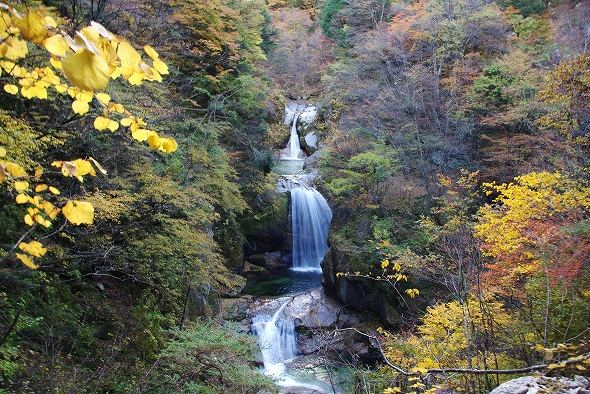 f:id:Argon:20101110181421j:image