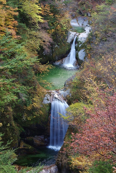 f:id:Argon:20101110181422j:image