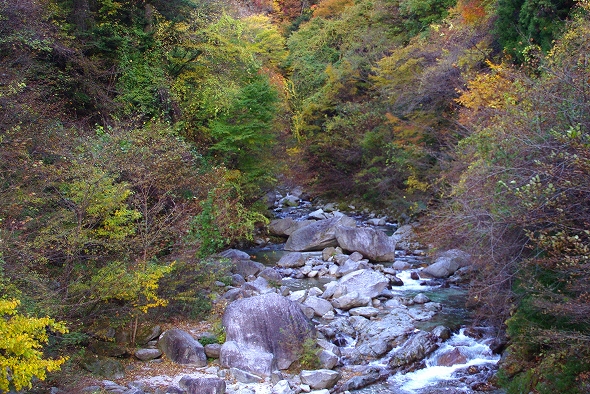 f:id:Argon:20101110181449j:image